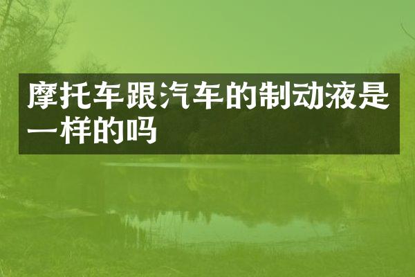 摩托车跟汽车的制动液是一样的吗