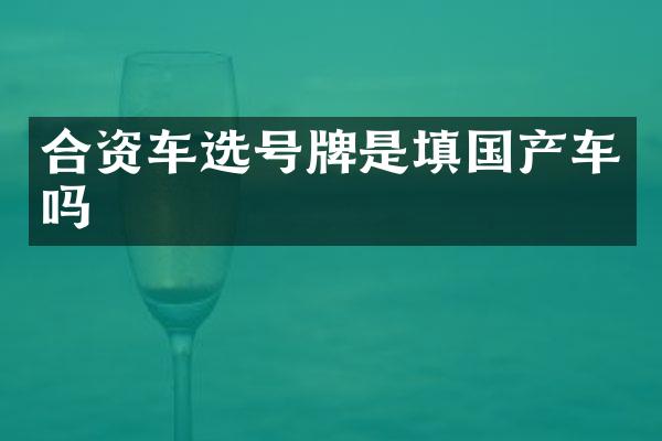 合资车选号牌是填国产车吗
