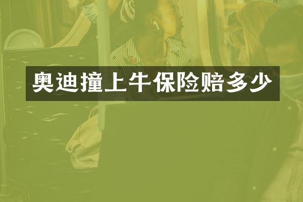 奥迪撞上牛保险赔多少