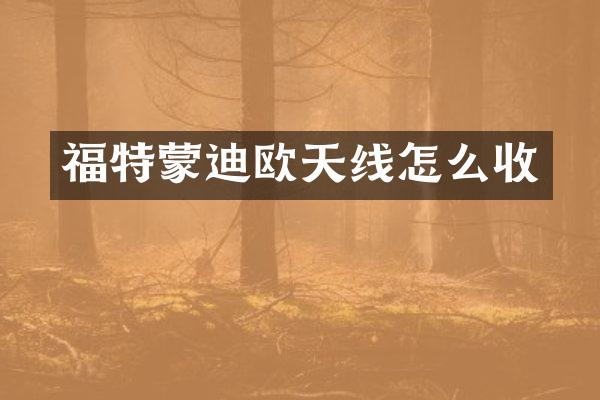 福特蒙迪欧天线怎么收