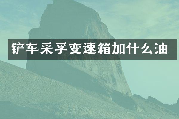 铲车采孚变速箱加什么油