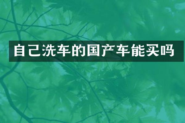 自己洗车的国产车能买吗