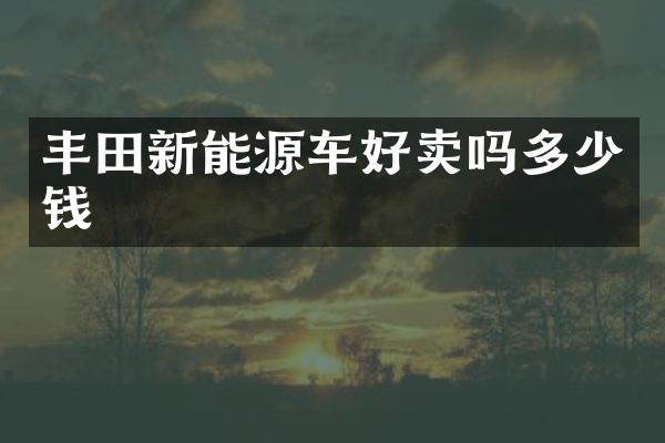 丰田新能源车好卖吗多少钱