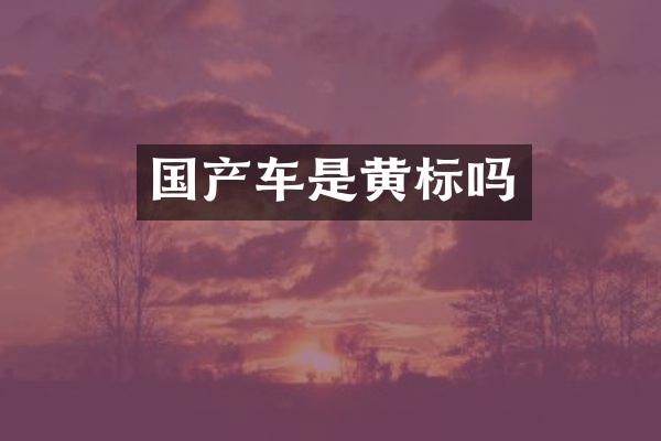 国产车是黄标吗