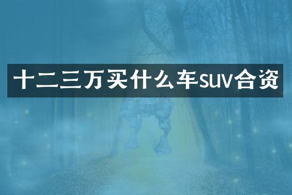 十二三万车suv合资