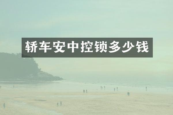 轿车安中控锁多少钱