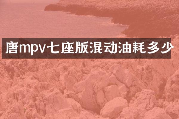唐mpv七座版混动油耗多少