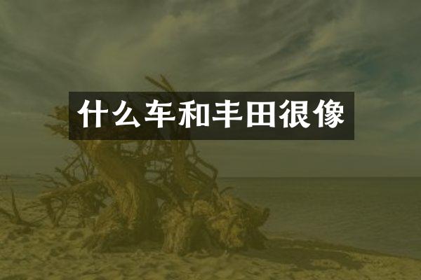 什么车和丰田很像