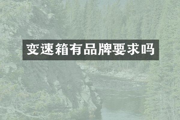 变速箱有品牌要求吗