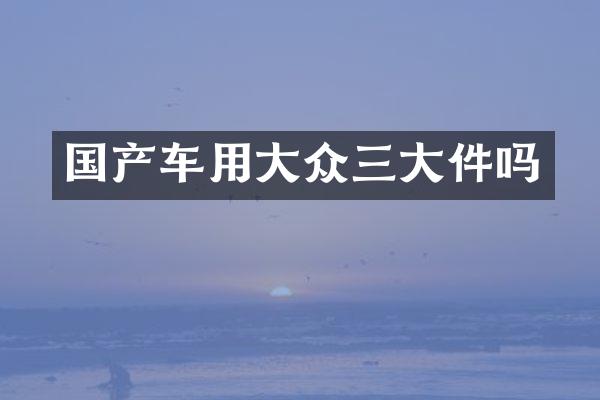 国产车用大众三大件吗
