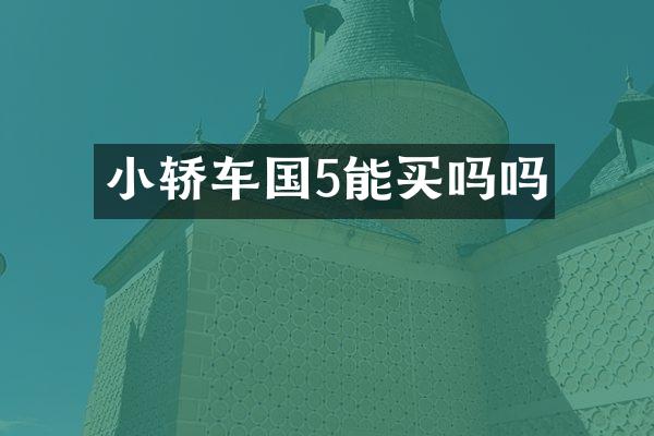 小轿车国5能买吗吗