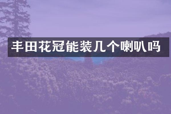 丰田花冠能装几个喇叭吗