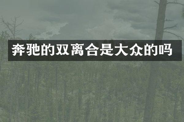奔驰的双离合是大众的吗
