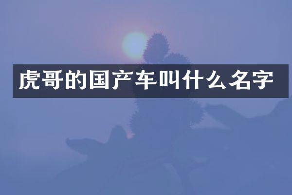 虎哥的国产车叫什么名字