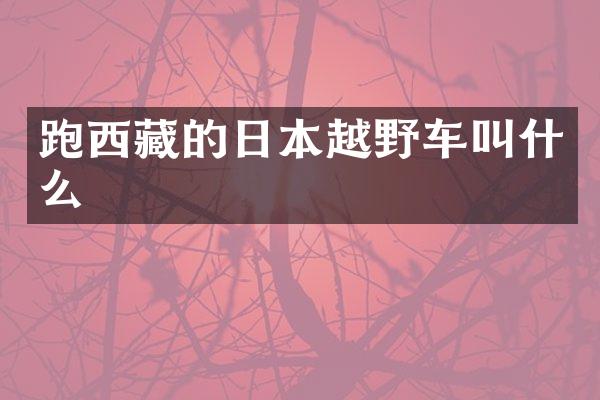 跑西藏的日本越野车叫什么