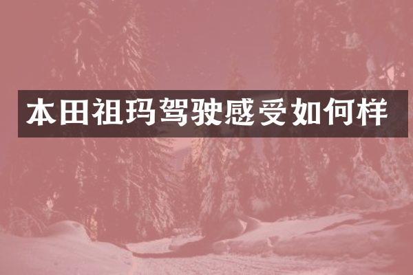 本田祖玛驾驶感受如何样