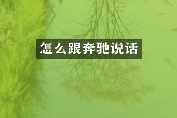 怎么跟奔驰说话