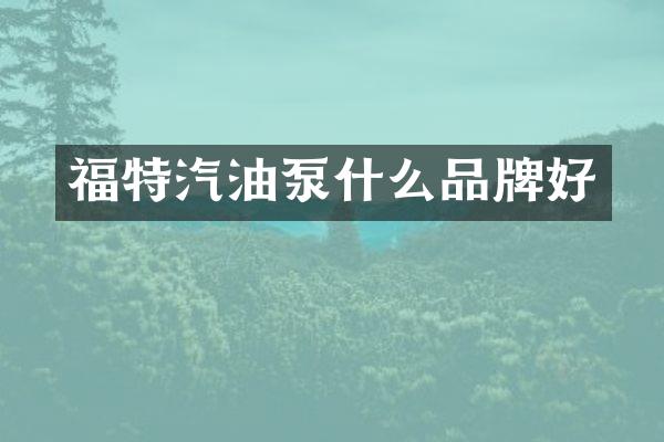 福特汽油泵什么品牌好