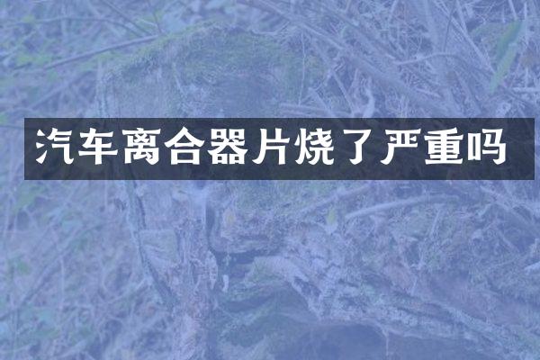 汽车离合器片烧了严重吗