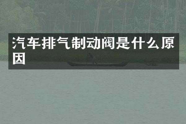 汽车排气制动阀是什么原因