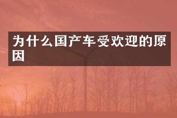 为什么国产车受欢迎的原因