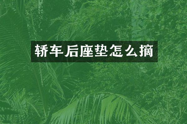 轿车后座垫怎么摘