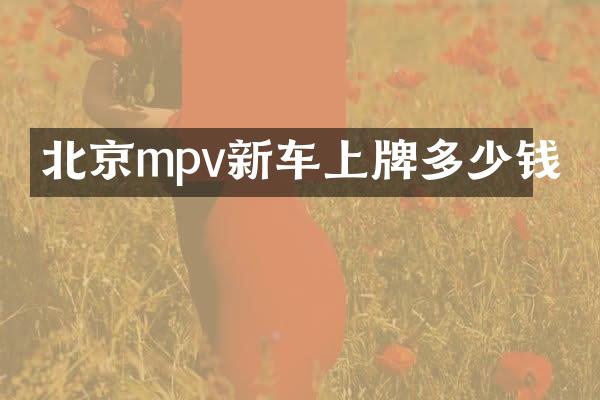 北京mpv新车上牌多少钱