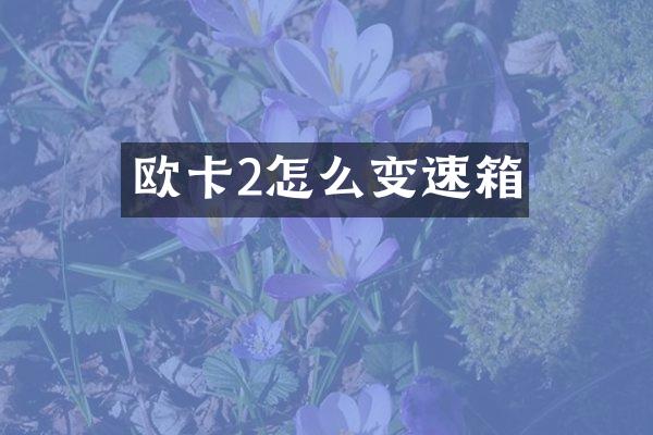 欧卡2怎么变速箱