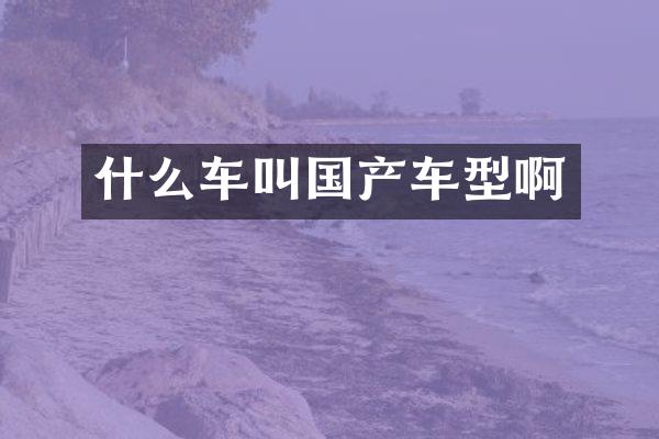 什么车叫国产车型啊