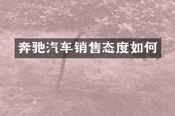 奔驰汽车销售态度如何