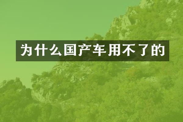为什么国产车用不了的