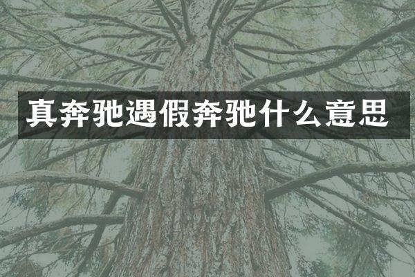 真奔驰遇假奔驰什么意思