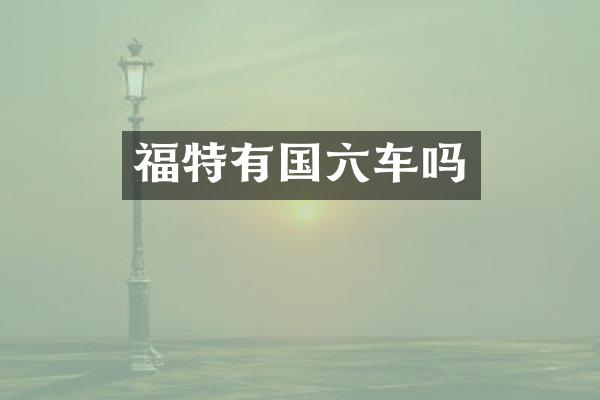 福特有国六车吗