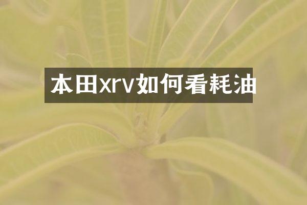 本田xrv如何看耗油
