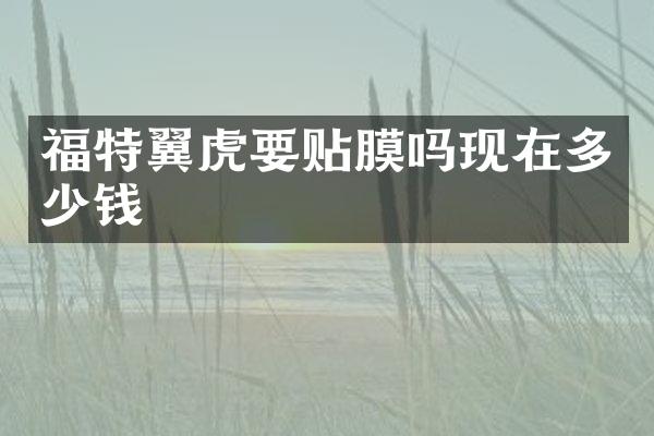 福特翼虎要贴膜吗现在多少钱