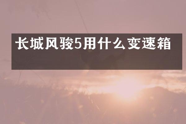 长城风骏5用什么变速箱油