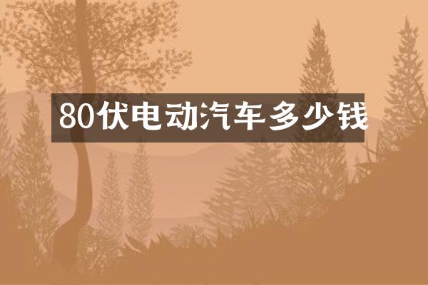 80伏电动汽车多少钱