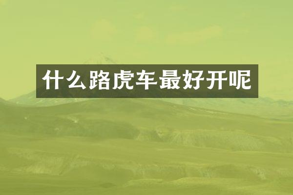 什么路虎车最好开呢