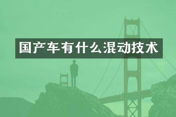 国产车有什么混动技术