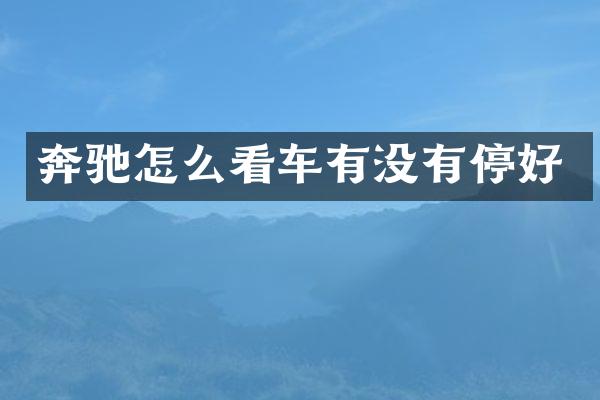 奔驰怎么看车有没有停好