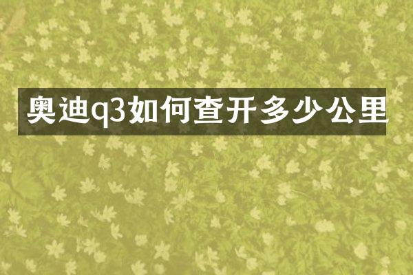 奥迪q3如何查开多少公里