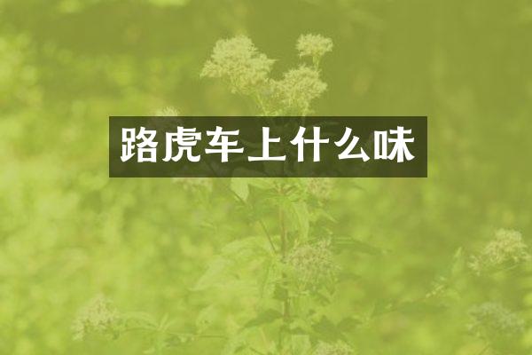 路虎车上什么味