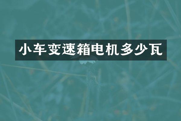 小车变速箱电机多少瓦