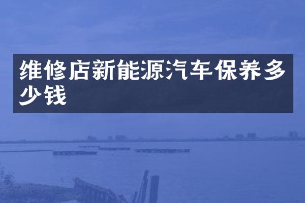 维修店新能源汽车保养多少钱