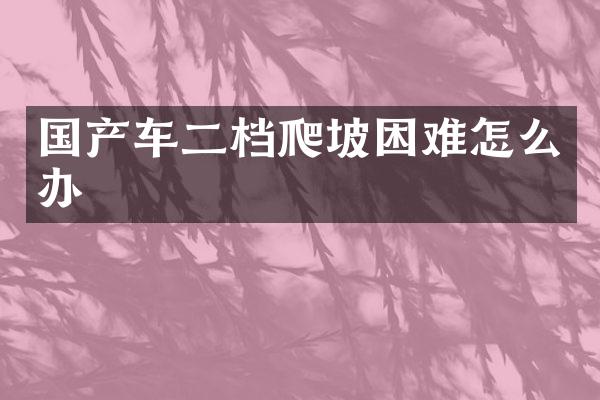 国产车二档爬坡困难怎么办