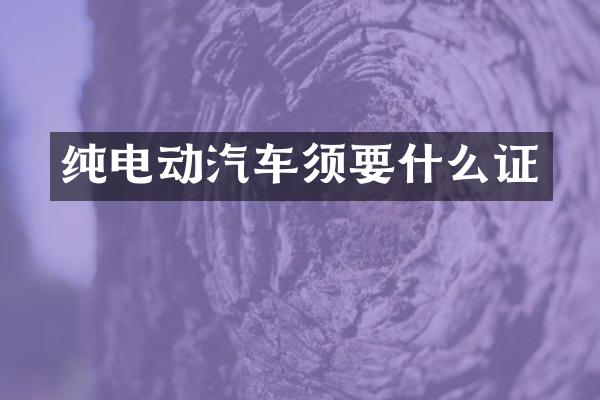纯电动汽车须要什么证