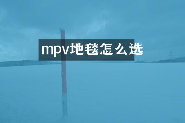 mpv地毯怎么选