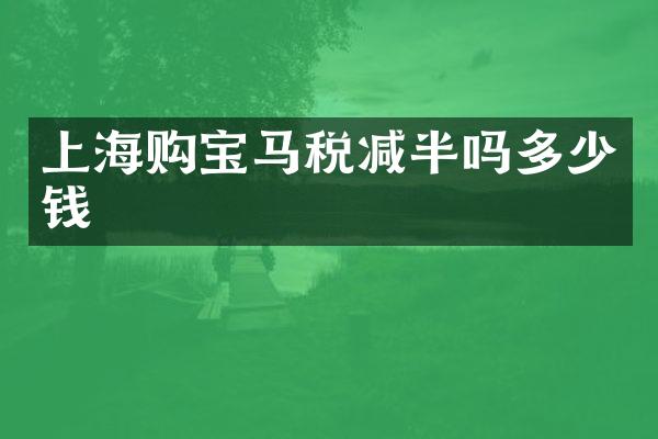 上海购宝马税减半吗多少钱
