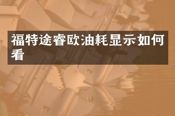 福特途睿欧油耗显示如何看