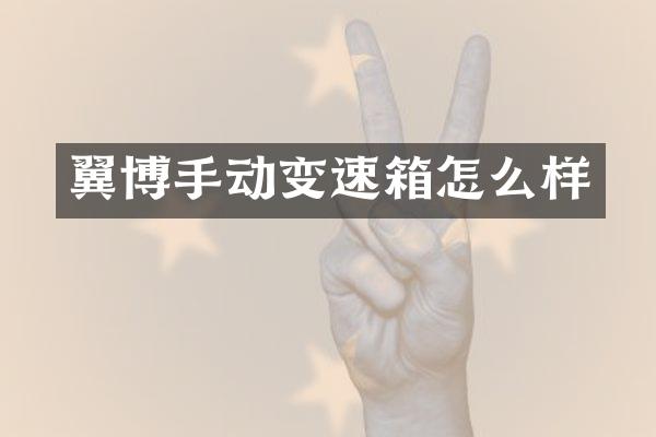 翼博手动变速箱怎么样